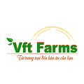 Cải bắp Xín Mần - Chuỗi an toàn thực phẩm Việt Nam